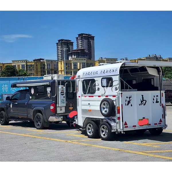 辽宁两马位马车